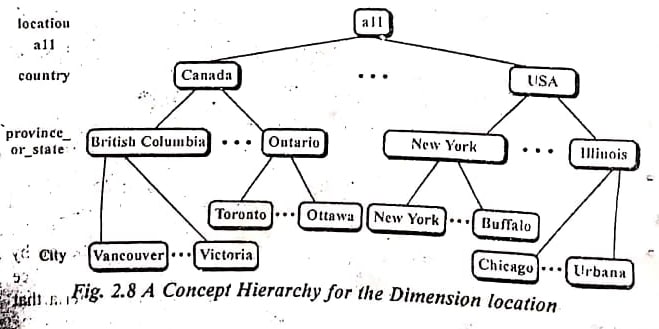 concept of hierarchy