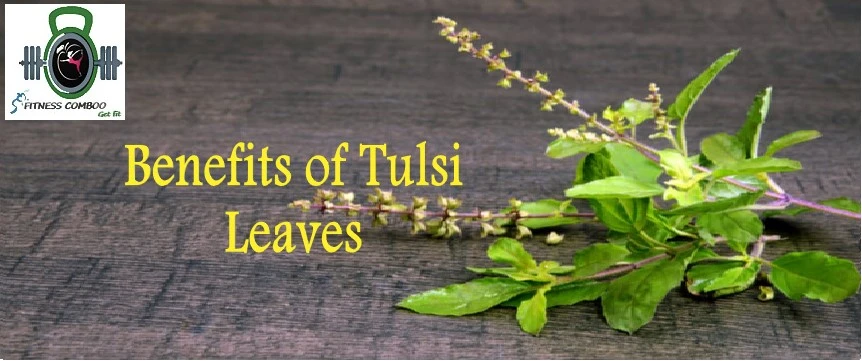 tulsi